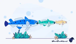 معرفی کنیبالیزیشن یا هم‌نوع‌خواری در سئو
